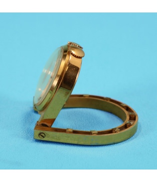 Hermes Estribo Alarma Viaje