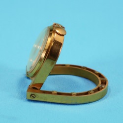 Hermes Estribo Alarma Viaje