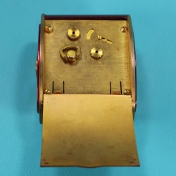 Jaeger Alarma Oro y Rosa