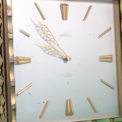 Angelus 8 días Santiago